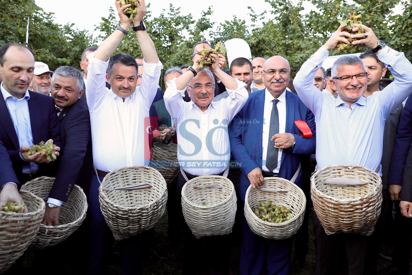 FINDIK HASADI ŞEN BAŞLADI