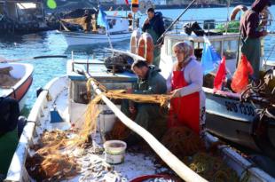BAŞKAN GÜLER’DEN BALIKÇI KADIN REİSLERE JEST