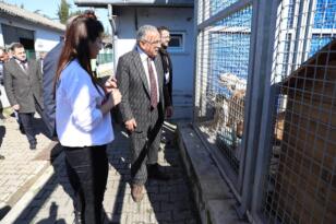 MODERN ŞEHİRCİLİK ANLAYIŞINA UYGUN HAYVAN BARINAĞI