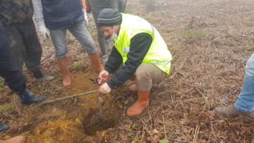 KESTANE ÜRETİMİ İÇİN ÇALIŞMALAR BAŞLADI