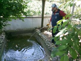 VEKTÖRLE MÜCADELEDE YAZ DÖNEMİ