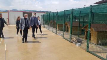 ALP: “19 İLÇEDE YOĞUN ŞEKİLDE ÇALIŞIYORUZ”