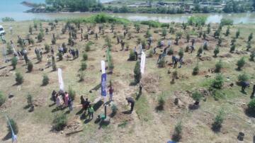 ÇEVRE GÜNÜNDE FİDANLAR TOPRAKLA BULUŞTU