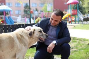 BAŞKAN KİBAR: “SOKAK HAYVANLARI; BİZİM SEVGİ VE ŞEFKAT YANIMIZ”