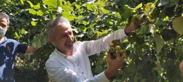 “Sahil kesimlerinde üreticimiz hasada başladı”