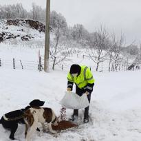 BÜYÜKŞEHİR PATİLİ DOSTLARI YALNIZ BIRAKMADI