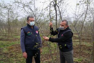 VALİ SONEL, FINDIKTA VERİMİ ve KALİTEYİ ARTIRMAK İÇİN BİRÇOK PROJE UYGULUYORUZ