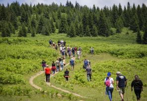 ORDU YAYLALARI ZİYARETÇİLERİNİ BEKLİYOR