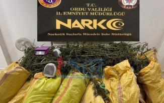 FATSA’DA ESRAR MADDESİ ELE GEÇİRİLDİ…