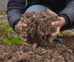 FINDIK ÜRETİCİLERİNE YENİ GELİR KAPISI: FINDIK KAPSÜLÜ