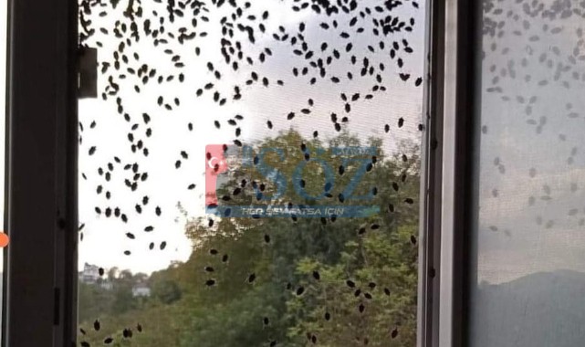 Vatandaşlar çözüm bekliyor!