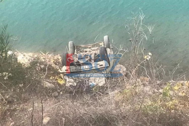 EŞEK ARISI YÜZÜNDEN ÖLÜMDEN DÖNDÜLER.