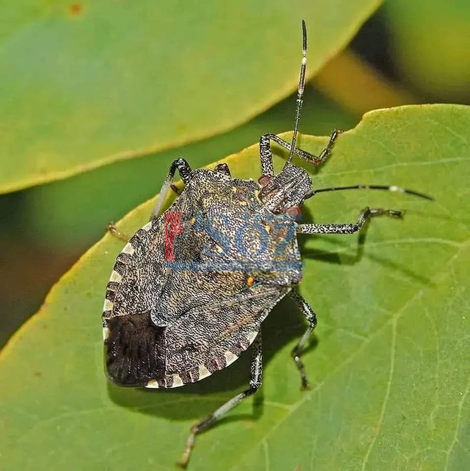 !! ETKİNLİK PROGRAMI !!