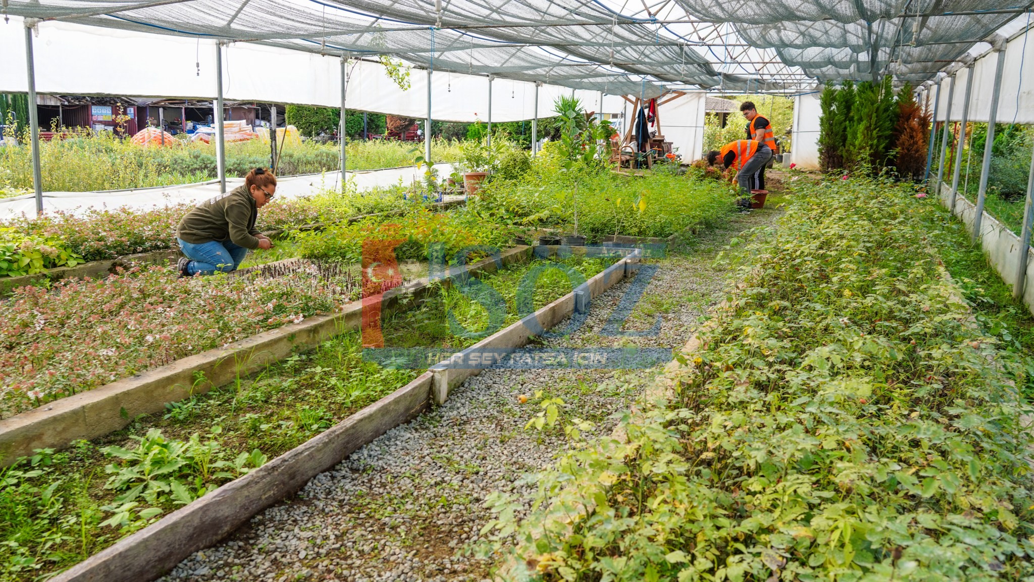2015 YILINDA KURULAN SERADAN CİDDİ TASARRUF SAĞLANDI