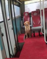 SOĞUK BİR FATSA GÜNÜNDEN İÇİMİZİ ISITAN BİR HABER