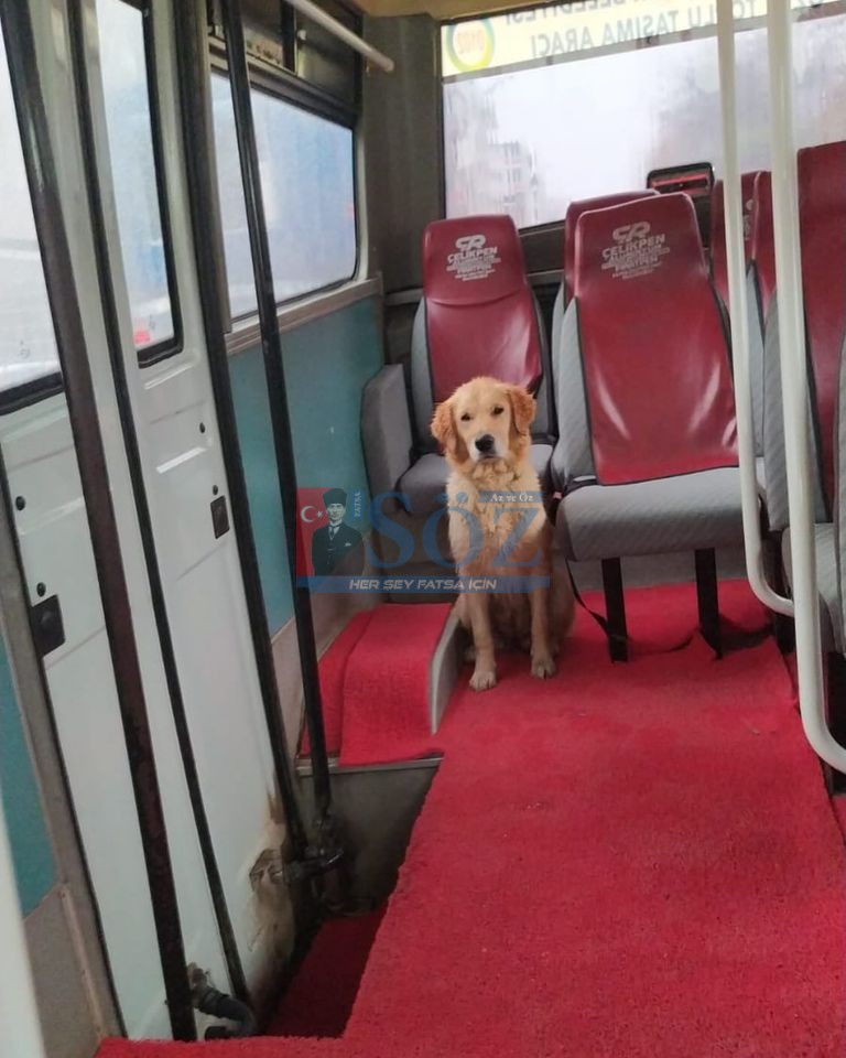 SOĞUK BİR FATSA GÜNÜNDEN İÇİMİZİ ISITAN BİR HABER