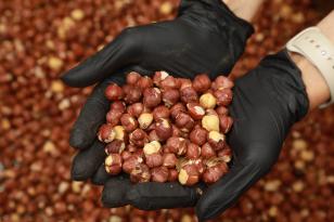 BAŞKAN HİLMİ GÜLER’İN PROJESİ 25 GİRİŞİMCİYE EV SAHİPLİĞİ YAPIYOR