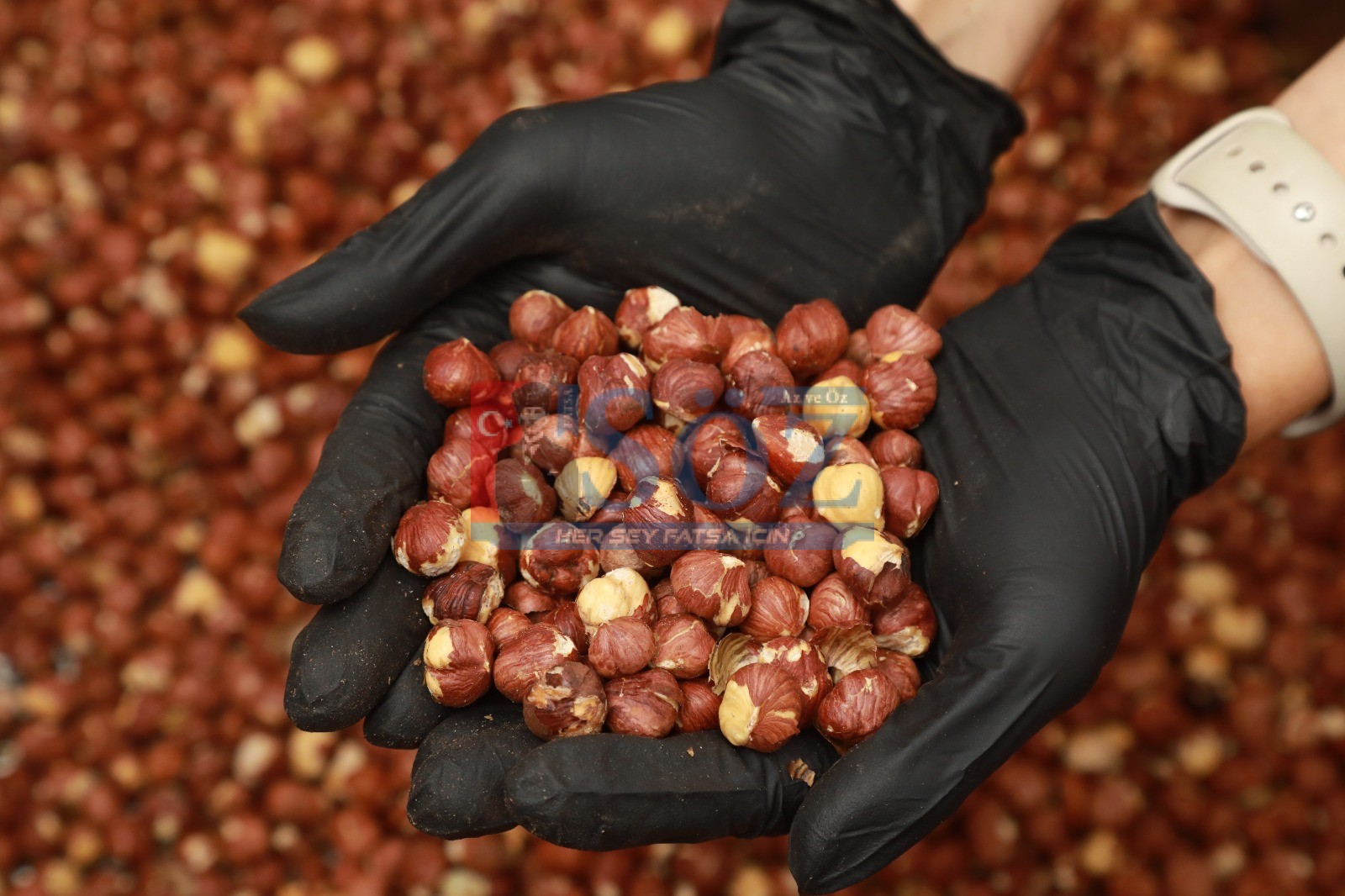 BAŞKAN HİLMİ GÜLER’İN PROJESİ 25 GİRİŞİMCİYE EV SAHİPLİĞİ YAPIYOR