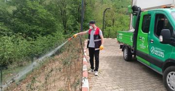 SİVRİSİNEKSİZ BİR YAZ VEKTÖRLE MÜCADELEDE YAZ DÖNEMİ