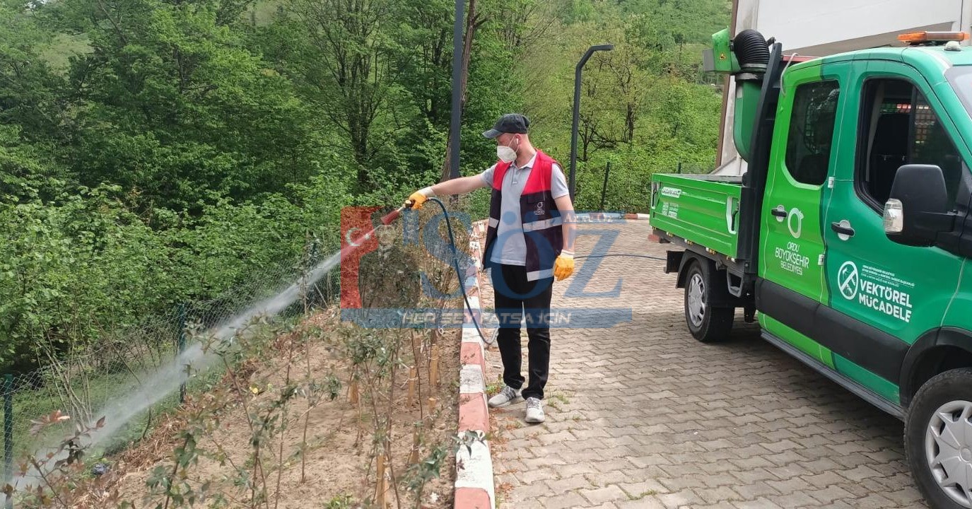 SİVRİSİNEKSİZ BİR YAZ VEKTÖRLE MÜCADELEDE YAZ DÖNEMİ