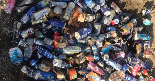 GAGA GÖLÜ’NDEN NELER ÇIKTI NELER HEM DURUGÖL’DE HEM DE GAGA GÖLÜ’NDE EKOLOJİK DENGE KORUNDU