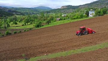 ORDU’YA YENİ BİR TARIM ÜRÜNÜ KAZANDIRILIYOR MESUDİYE’DE KARABUĞDAY EKİMİ YAPILDI ALIM GARANTİLİ ÜRETİM MODELİ ÜRETİCİYİ MEMNUN EDİYOR 40 BİN TONLUK TALEBİN 2 BİN TONU TÜRKİYE’DE ÜRETİLİYOR
