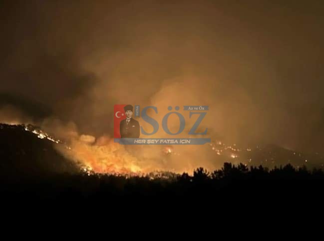 5 İLDE ORMAN YANGINI