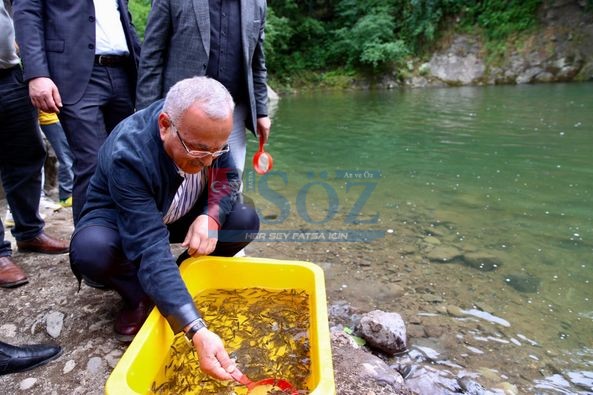 ÇAYBAŞI CURİ DERESİ’NE 5 BİN KIRMIZI BENEKLİ ALABALIK SALINDI