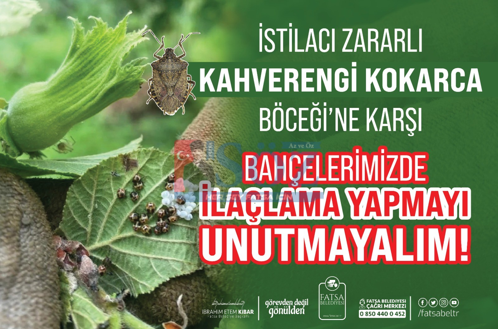 KOKARCAYA KARŞI İLAÇLAMA YAPMAYI UNUTMAYIN