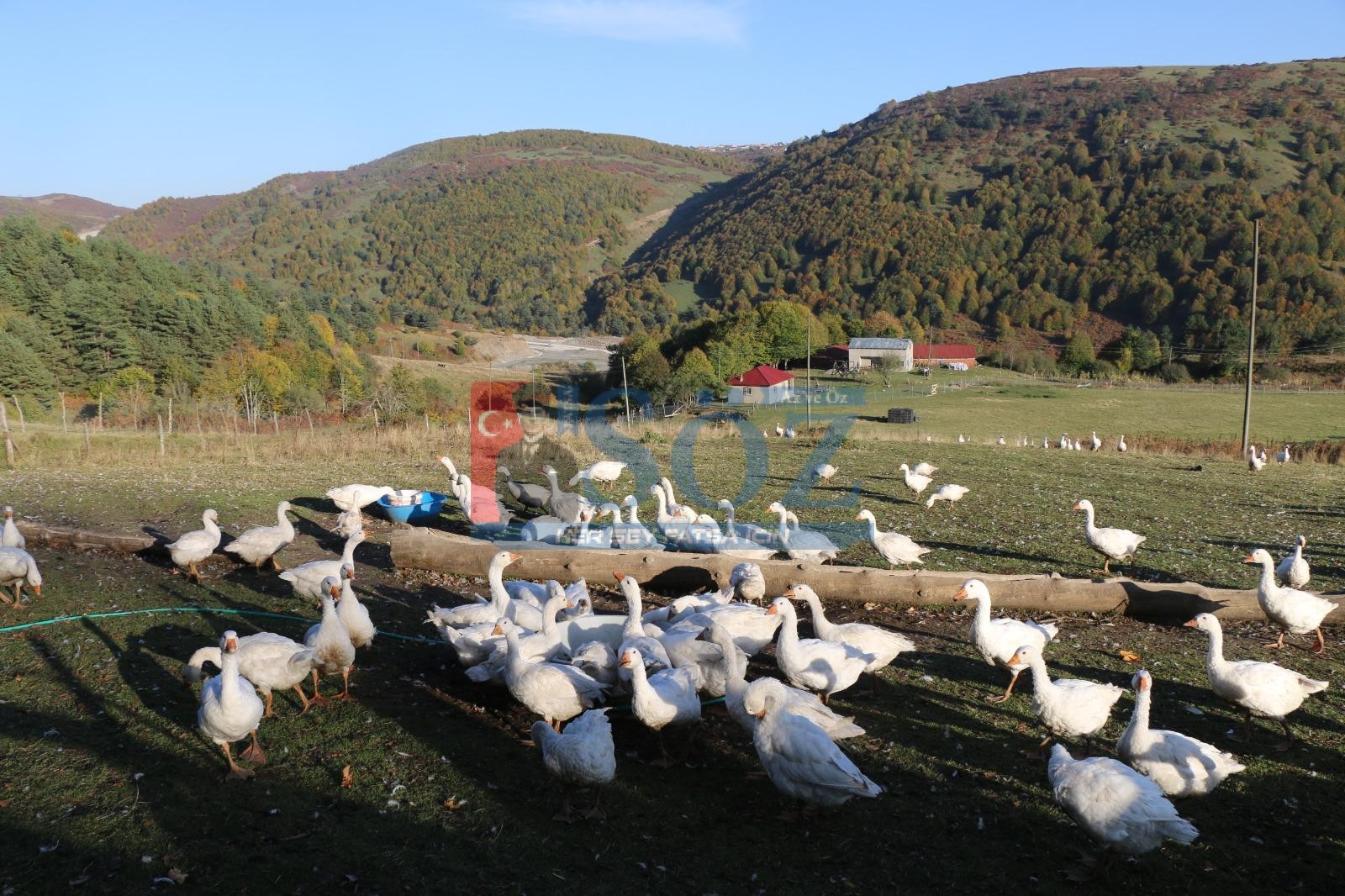 BAŞKAN GÜLER’İN TARIM ALANINDA YAPTIĞI ÇALIŞMALAR ‘ÜRETEN ORDU’ VİZYONUNU ORTAYA ÇIKARDI