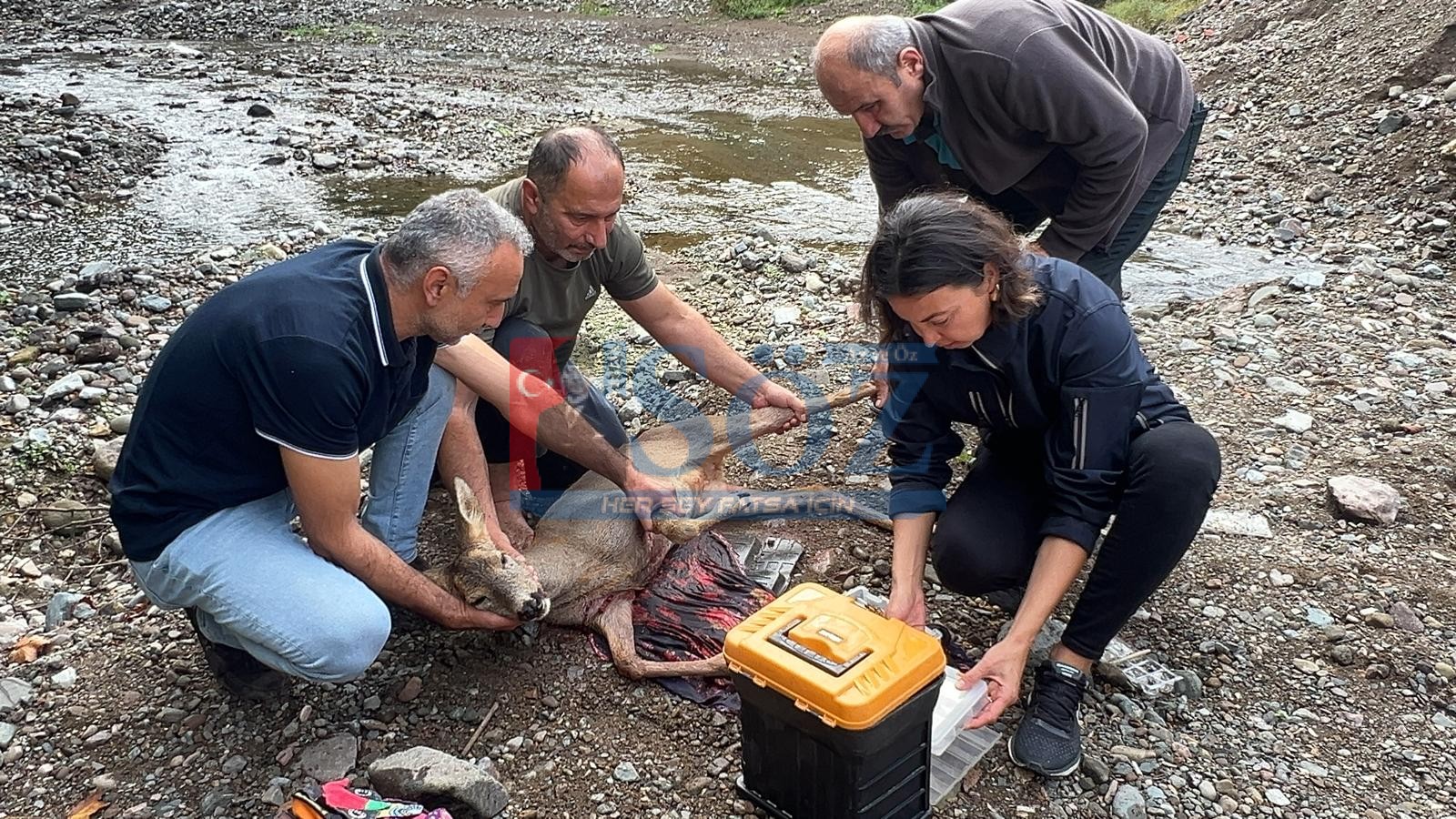 ARAÇ ÇARPMASI SONUCU YARALANAN KARACA’YA İLK MÜDAHALE FATSA BELEDİYESİ EKİPLERİNDEN