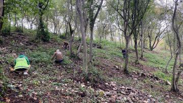 FATSA’NIN YEŞİL ALANLARI İÇİN YOĞUN ÇALIŞMALAR SÜRÜYOR