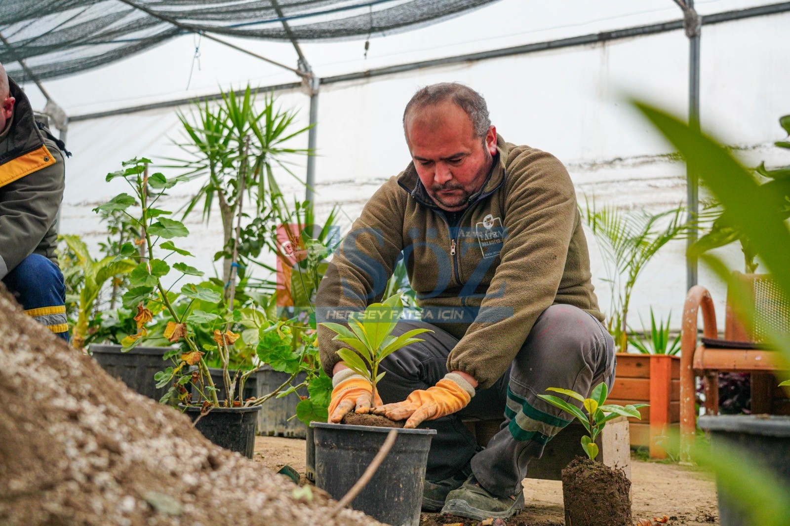 FATSA BELEDİYESİ’NDEN YEŞİL ALANLARA ÖZENLİ HAZIRLIK