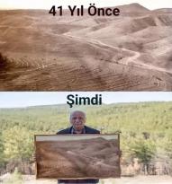 SİNOP BOYABAT’TA 4 BİN HEKTARLIK ÇORAK ALANI 800 BİN KIZILÇAM AĞACININ OLDUĞU BÜYÜK BİR ORMANA DÖNÜŞTÜREN KİŞİNİN ÜNÜ ÜLKE SINIRLARINI AŞTI.