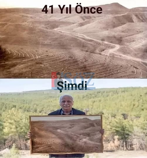 SİNOP BOYABAT’TA 4 BİN HEKTARLIK ÇORAK ALANI 800 BİN KIZILÇAM AĞACININ OLDUĞU BÜYÜK BİR ORMANA DÖNÜŞTÜREN KİŞİNİN ÜNÜ ÜLKE SINIRLARINI AŞTI.