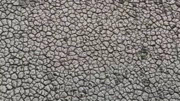 KURAKLIK BAŞ GÖSTERDİ : SEYHAN BARAJ GÖLÜ’NDE SULAR ÇEKİLDİ , TOPRAK ÇATLADI