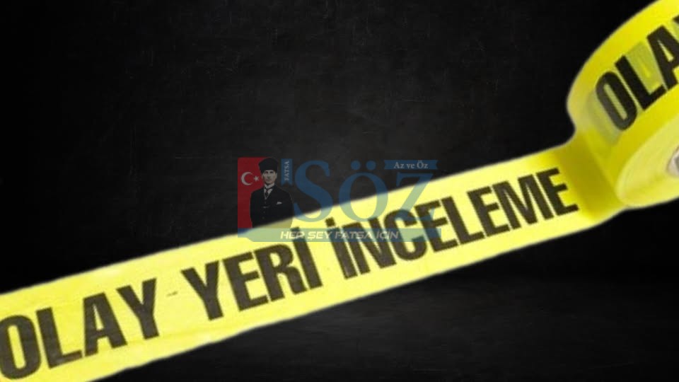 ORDU’DA OTOMOBİL BAHÇEYE UÇTU