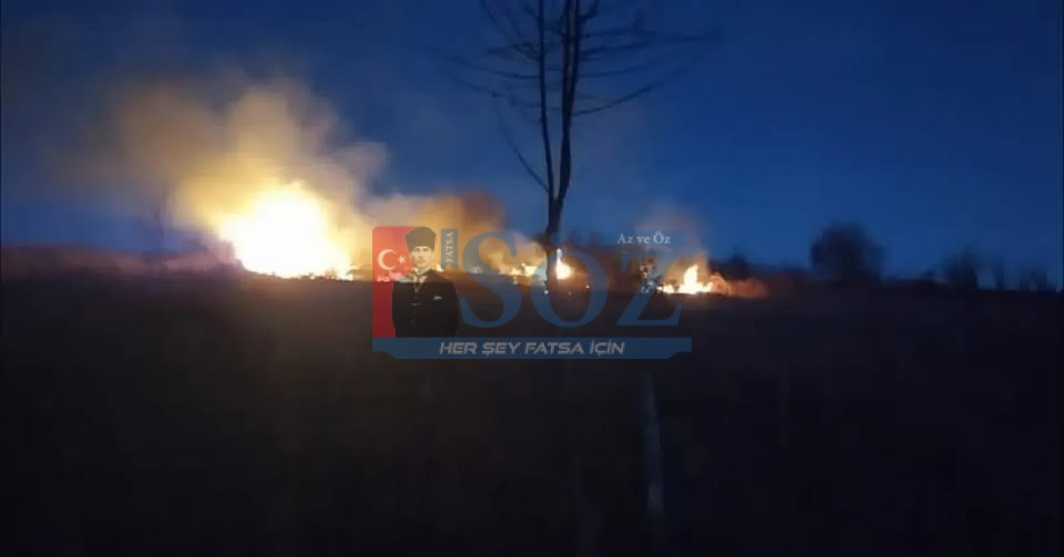 ORDU`DA FINDIK BAHÇESİNDE YANGIN