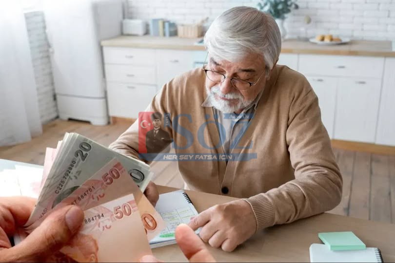 ORDU DAHİL 21 İLDE EMEKLİ SAYISI AKTİF ÇALIŞANI GEÇTİ