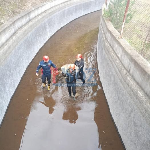 ORDU İTFAİYESİNDEN NEFES KESEN OPERASYON :HES KANALINA DÜŞEN KARACA KURTARILDI