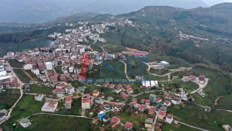 KORGAN’DA FINDIK KRİZİ ESNAFI VURDU : İŞLER YÜZDE 70 DÜŞTÜ