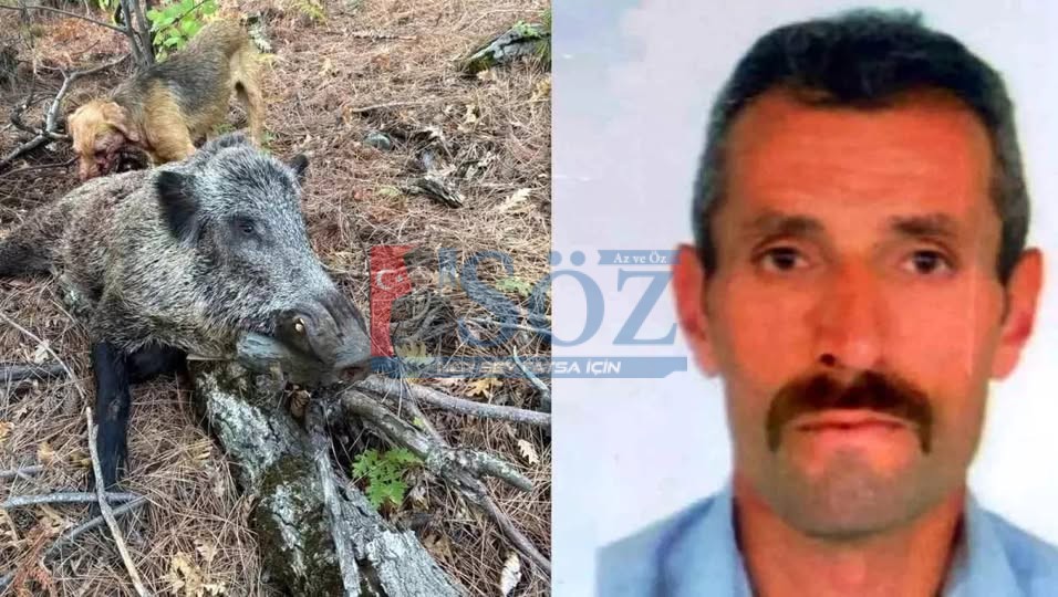 DOMUZ SALDIRISI CAN ALDI