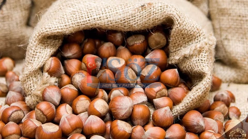 FINDIKTA ÇİFTE FİYAT TEPKİ ÇEKİYOR