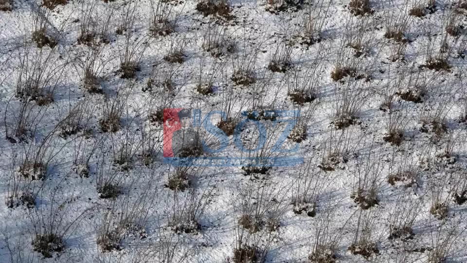 KARADENİZ’DE KAR YAĞIŞI FINDIĞA YARADI