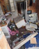 ORDU’DA AYI PANİĞİ: YAYLA EVİNİ TALAN ETTİ