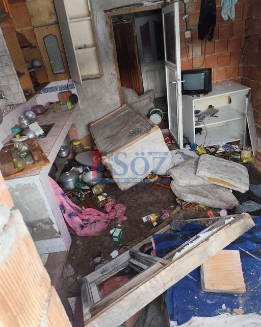 ORDU’DA AYI PANİĞİ: YAYLA EVİNİ TALAN ETTİ