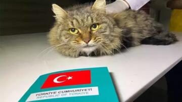 ORDU’DA EVCİL HAYVAN SAHİPLERİ İÇİN KRİTİK UYARI : KİMLİKLENDİRME İÇİN SON TARİH 31 ARALIK 2025