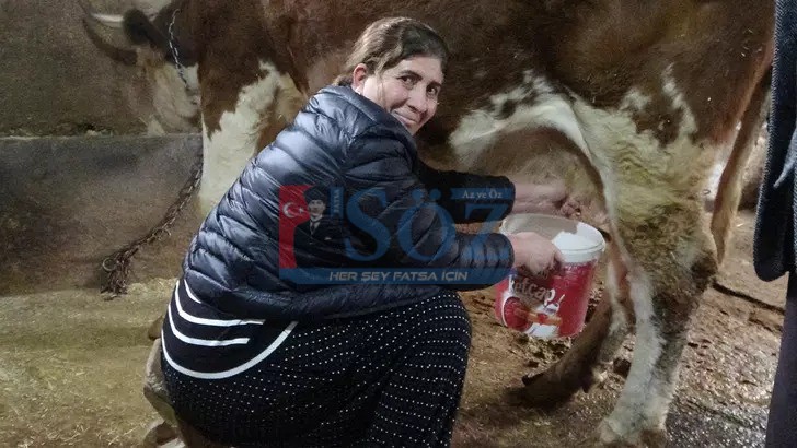 TUNCELİ’NİN HOZAT İLÇESİNDE YAPILAN MUHTARLIK SEÇİMLERİNDE 58 YAŞINDAKİ YAZGÜLÜ ALMAZ,8 ERKEK RAKİBİNİ GERİDE BIRAKARAK MUHTAR OLDU