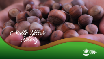 Ferrero Fındık Yılbaşı İlanı