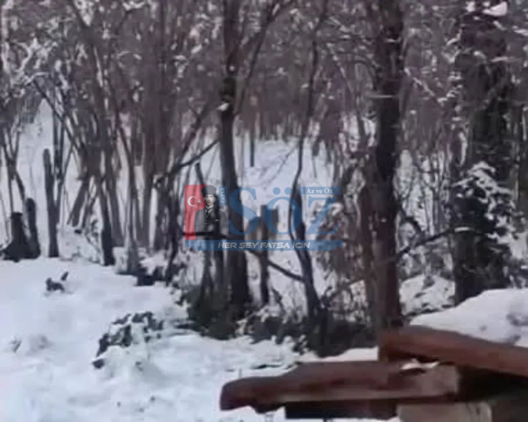 KURTLAR YERLEŞİM ALANINA İNDİ